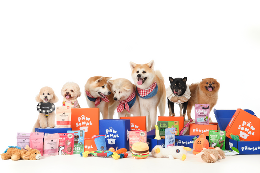 12 Month Subscription (First Box HK$130)