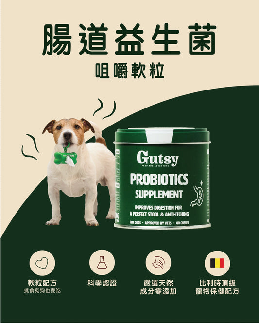 Gutsy - Probiotics Supplements 益生菌腸道健康咀嚼軟粒 (80 chews)