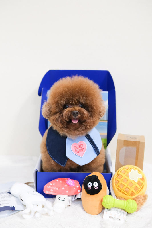 6 Month Subscription (First Box HK$169)