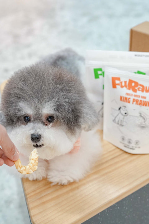 FuRawZ 海蝦寵物凍乾零食 - 40g