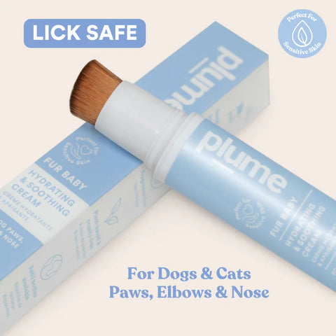 PAW BOX X PLUME Care 