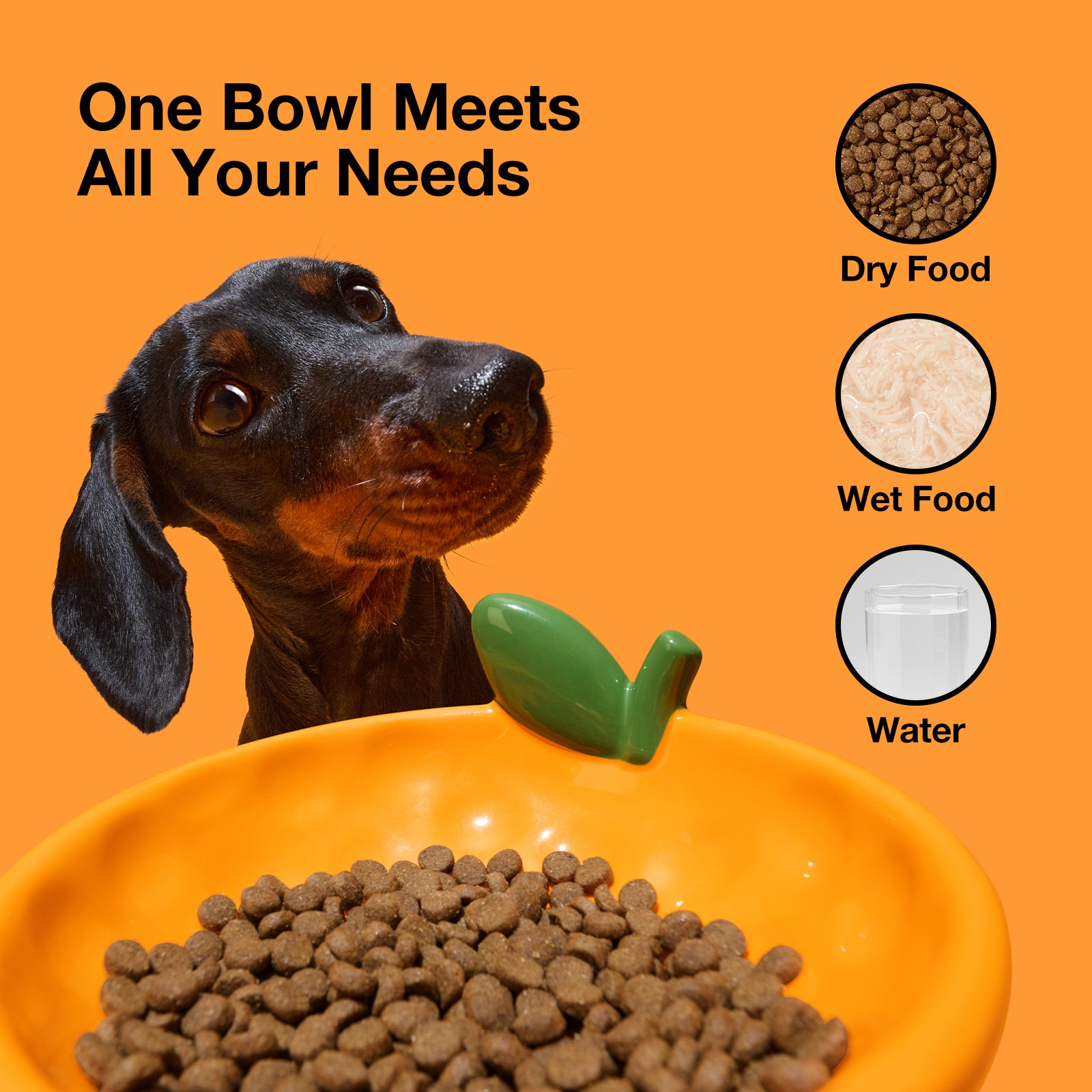 PAW BOX 新年特別版 - VETRESKA 陶瓷食物碗