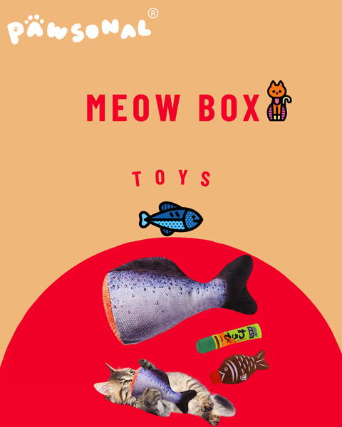 MEOW Box with VETRESKA Tangerine Scratching Ball