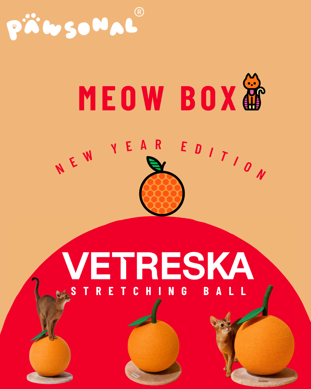 MEOW BOX 新年特別版 - VETRESKA 桔子貓抓球