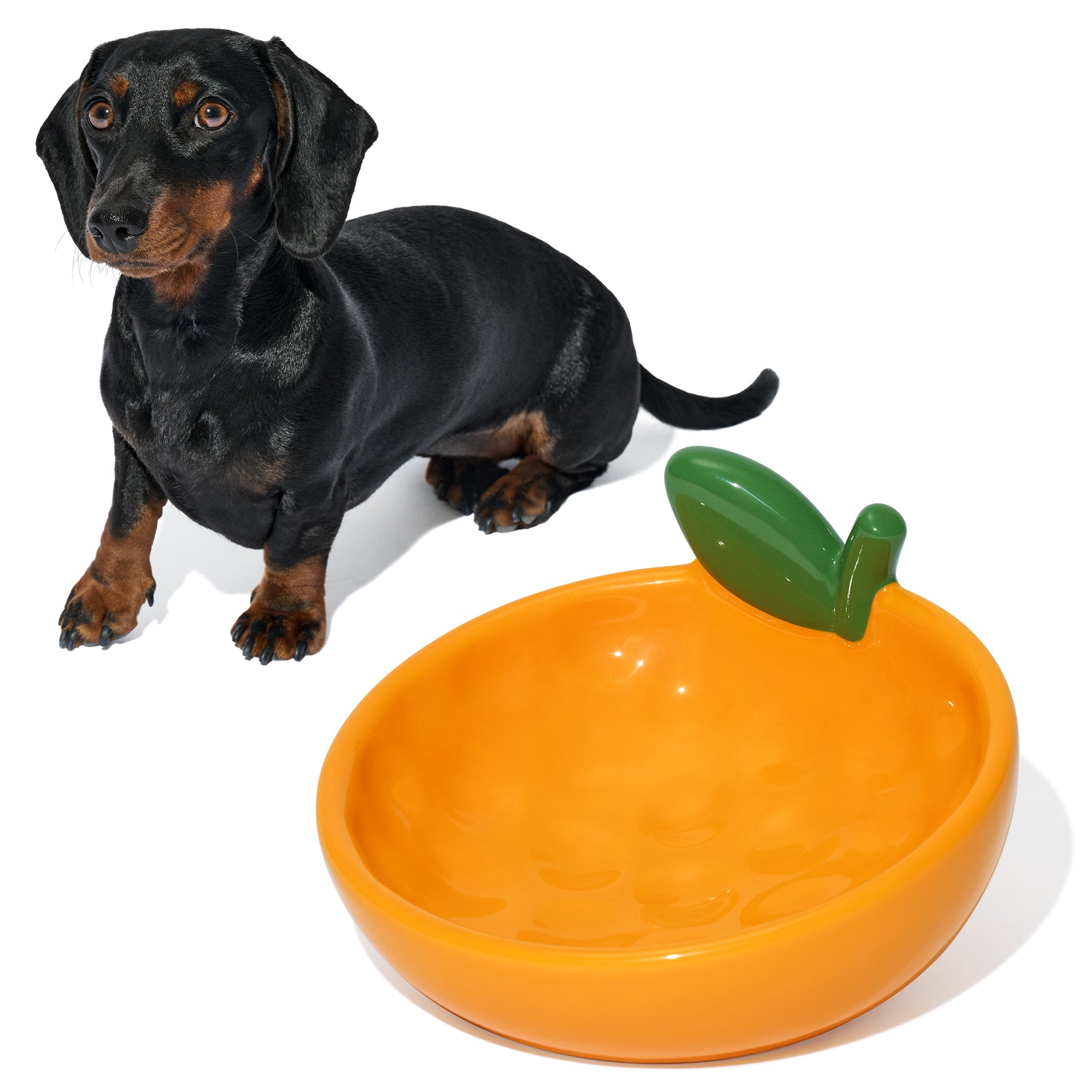 VETRESKA TANGERINE CERAMIC PET BOWL