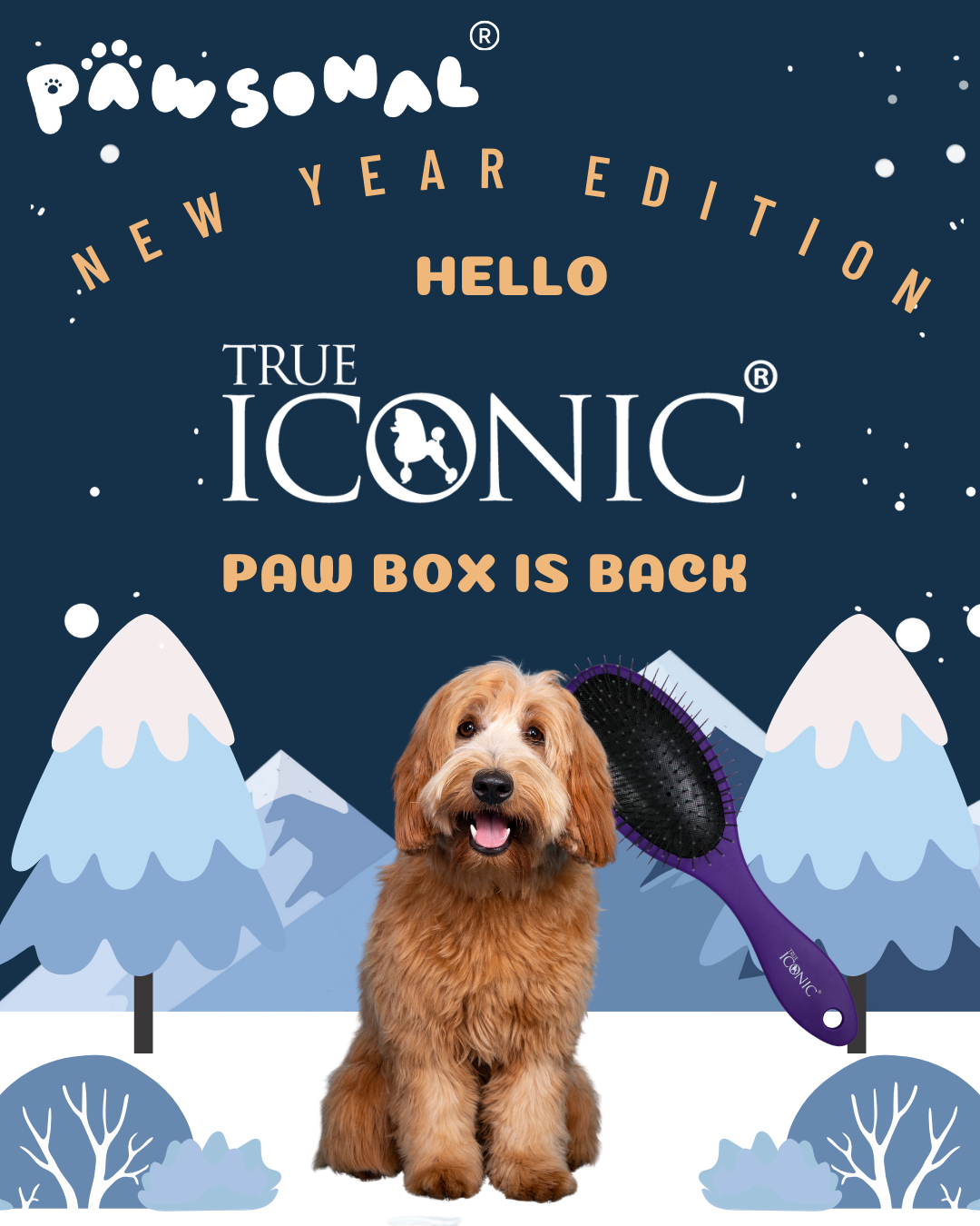 PAW BOX X TRUE ICONIC - 新年限定版