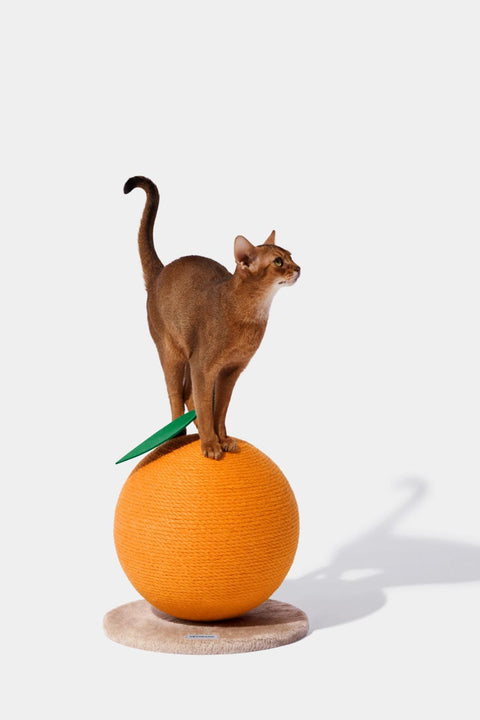 MEOW Box with VETRESKA Tangerine Scratching Ball