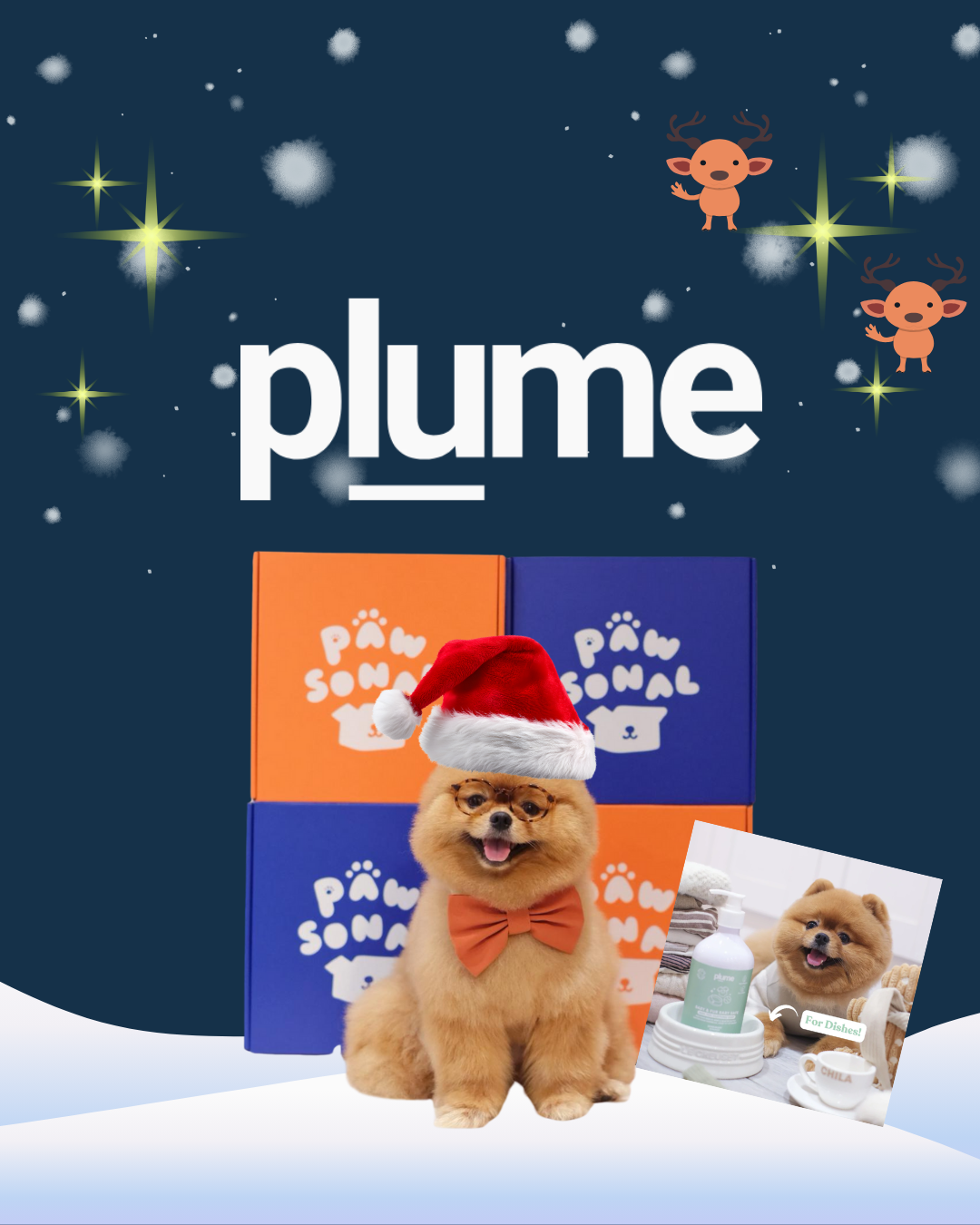 Paw Box X PLUME - 聖誕聯成限定版