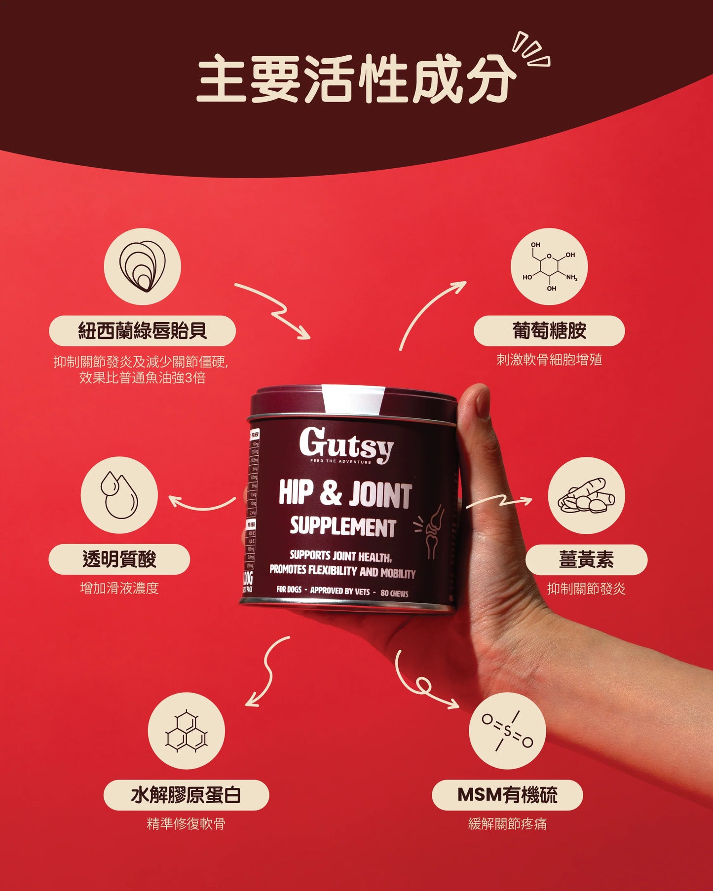 Gutsy Hip &amp; Joint Supplements 關節健康咀嚼軟粒（80 粒咀嚼）