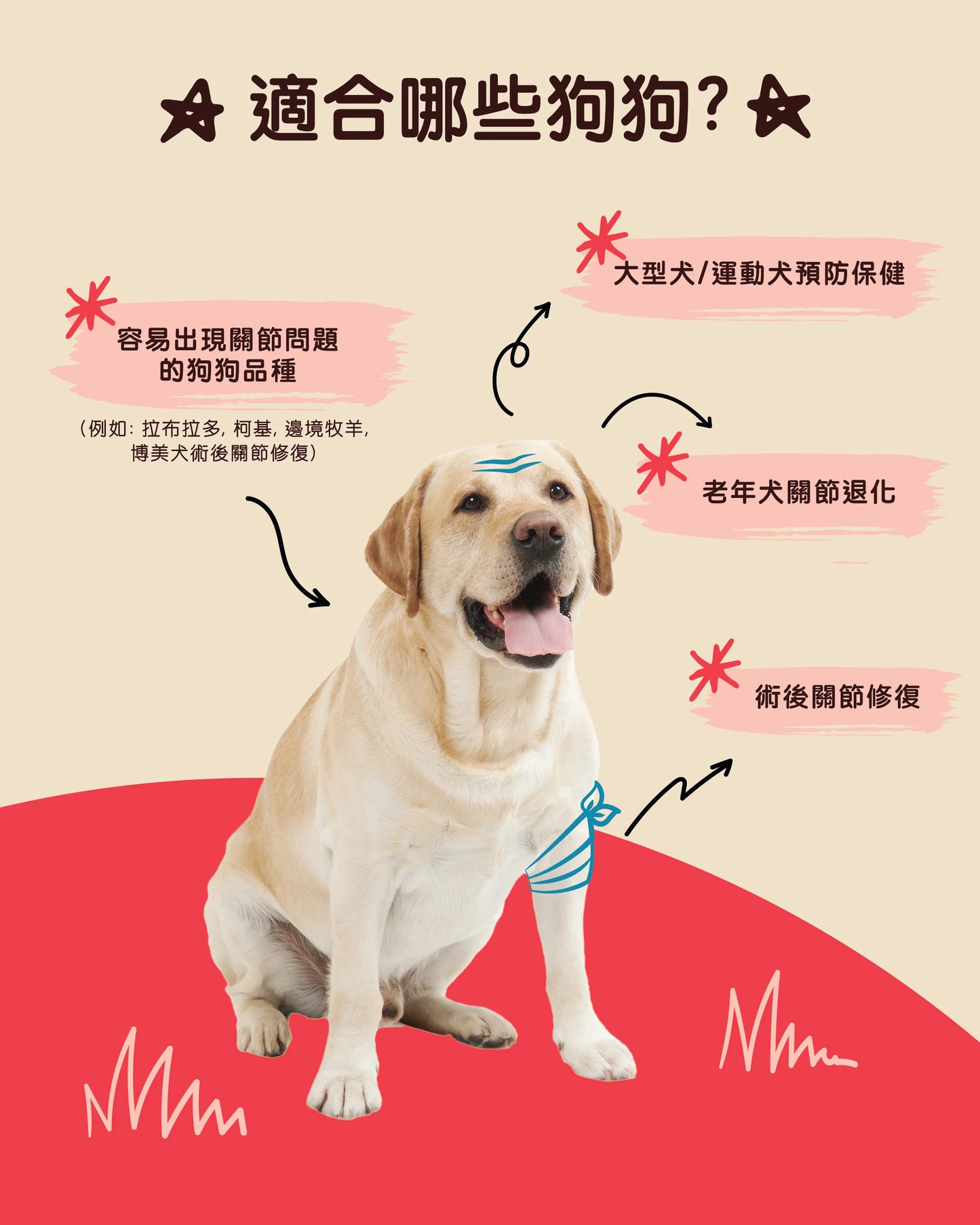 Gutsy Hip &amp; Joint Supplements 關節健康咀嚼軟粒（80 粒咀嚼）