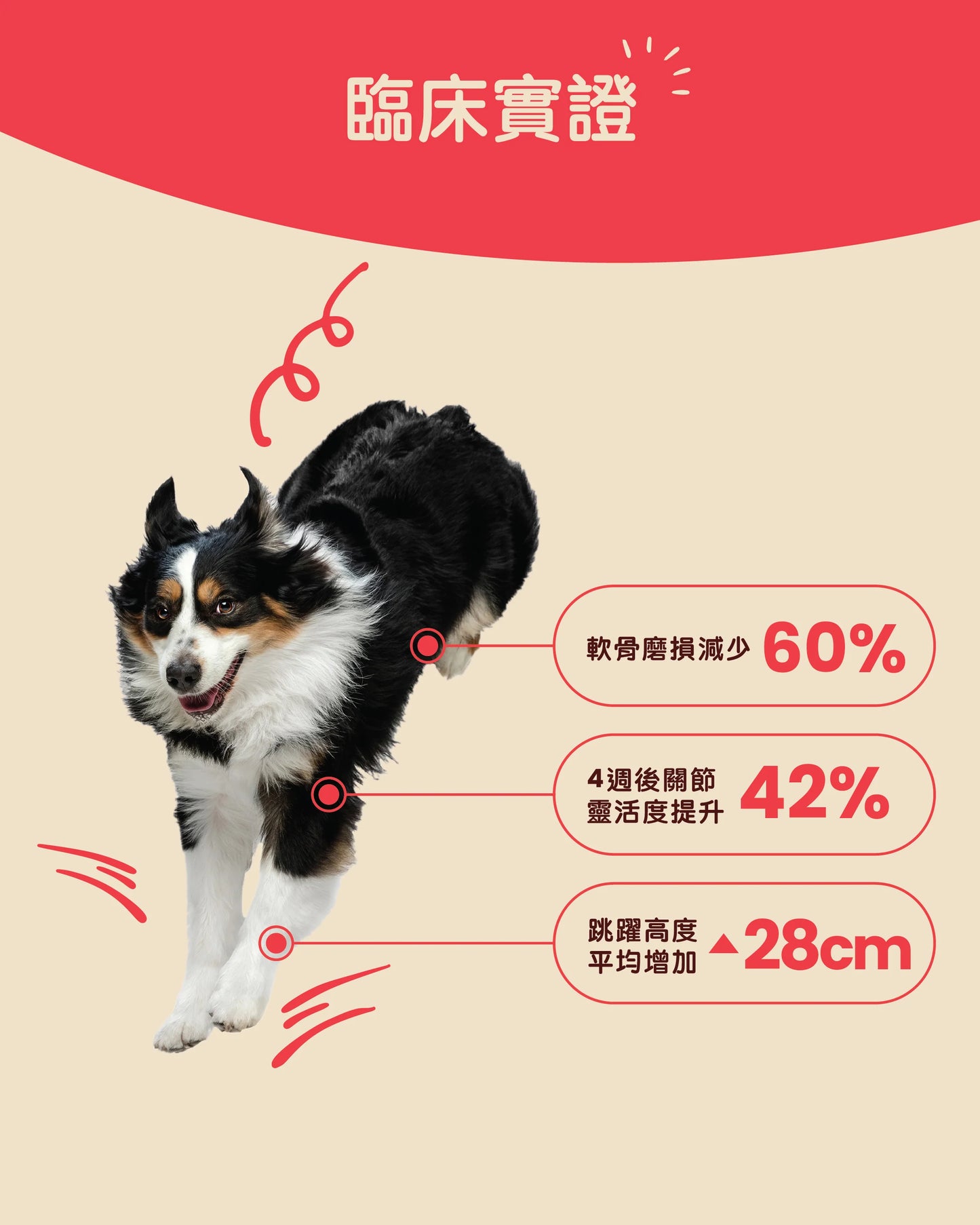 Gutsy Hip &amp; Joint Supplements 關節健康咀嚼軟粒（80 粒咀嚼）