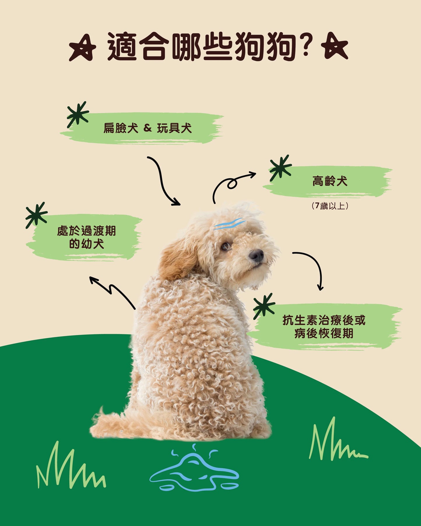 Gutsy Probiotics Supplements 益生菌破壞健康咀嚼軟粒（80 咀嚼） 