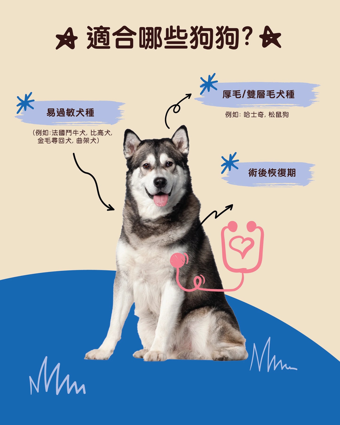 Gutsy Skin &amp; Coat Supplements 皮膚和毛髮健康咀嚼軟粒（80 咀嚼）