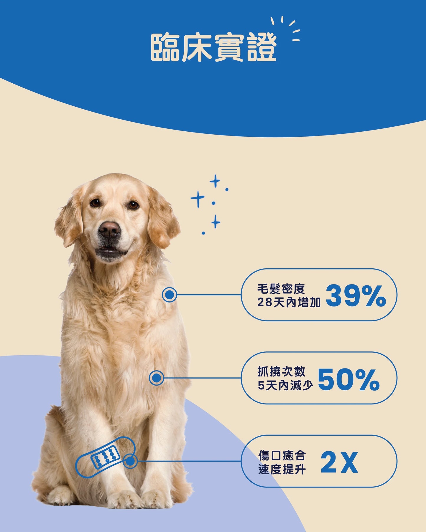 Gutsy Skin &amp; Coat Supplements 皮膚和毛髮健康咀嚼軟粒（80 咀嚼）