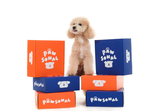 6個月訂閱計劃（首盒$169）