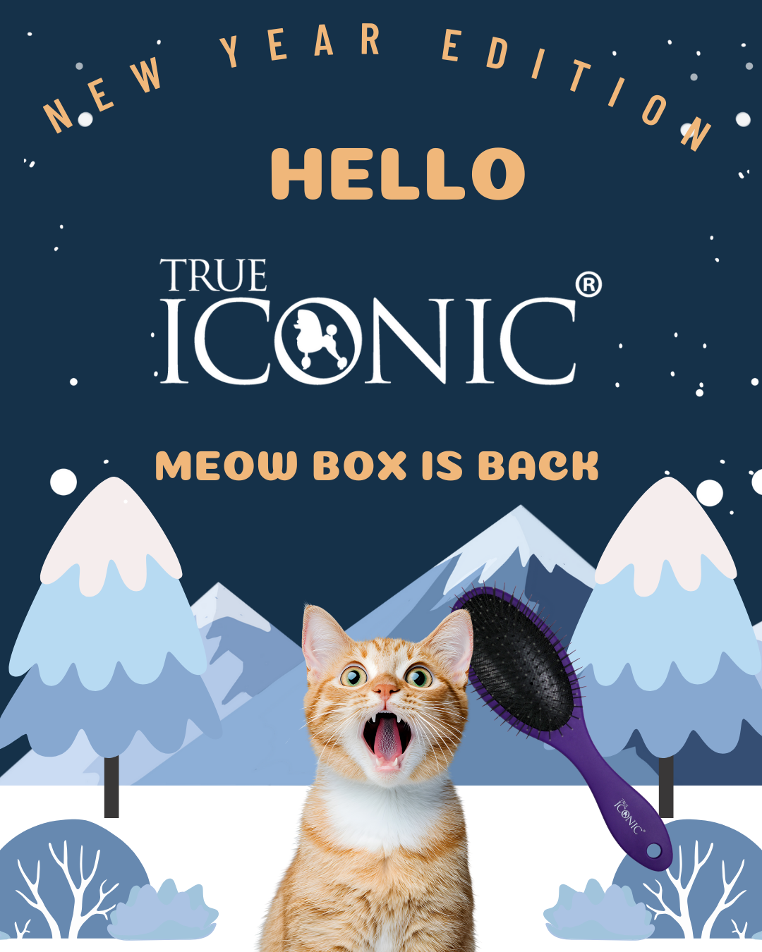 MEOW BOX X True Iconic 新年特別版 