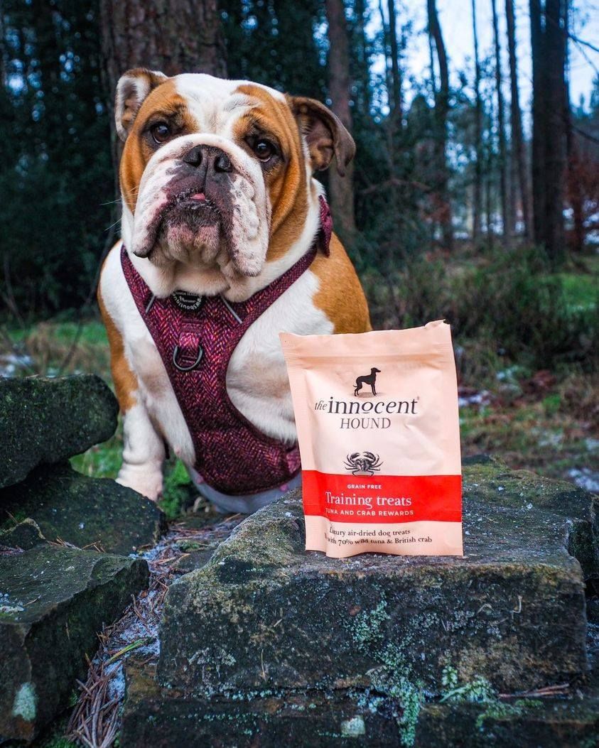 訓練獎勵 - 鮪魚和螃蟹獎勵 訓練獎勵 - 吞拿魚和螃蟹獎勵小食 (70g)