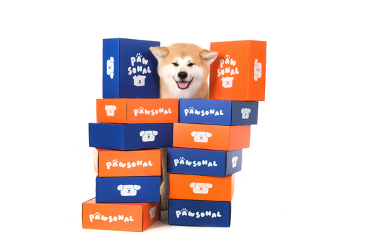 12個月訂閱計劃（首盒$130）