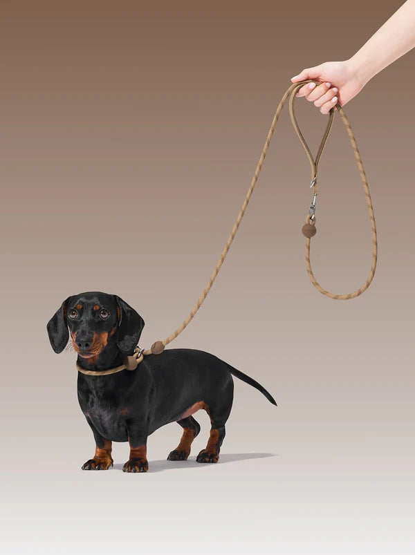 Connect Lite Hands-Free Rope Leash For Pets - Coffee