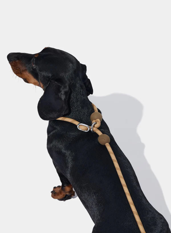 Connect Lite Hands-Free Rope Leash For Pets - Coffee