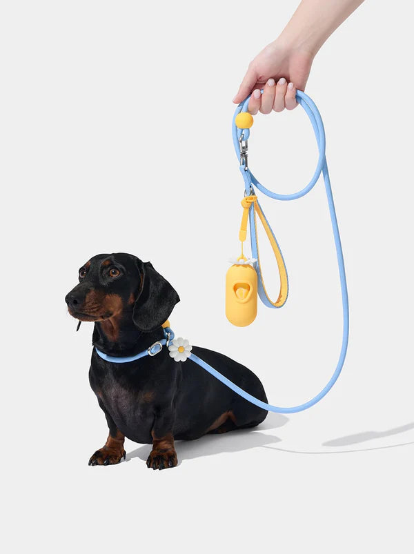 VETRESKA Connect Lite Hands-Free Rope Leash For Pets - Daisy