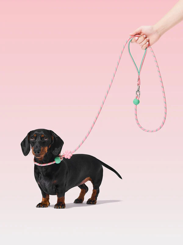 VETRESKA Connect Lite Hands-Free Rope Leash For Pets - Flora