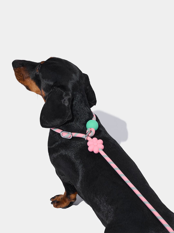 VETRESKA Connect Lite Hands-Free Rope Leash For Pets - Flora