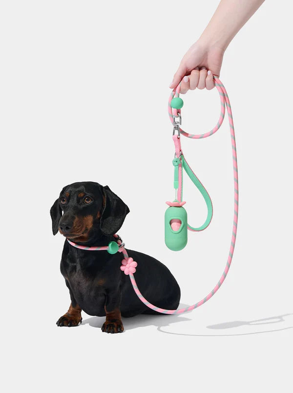 VETRESKA Connect Lite Hands-Free Rope Leash For Pets - Flora