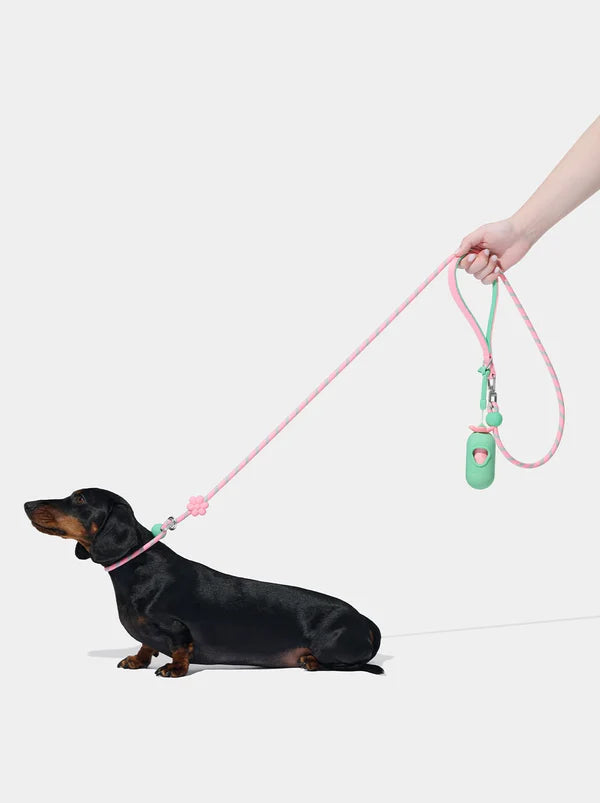 VETRESKA Connect Lite Hands-Free Rope Leash For Pets - Flora