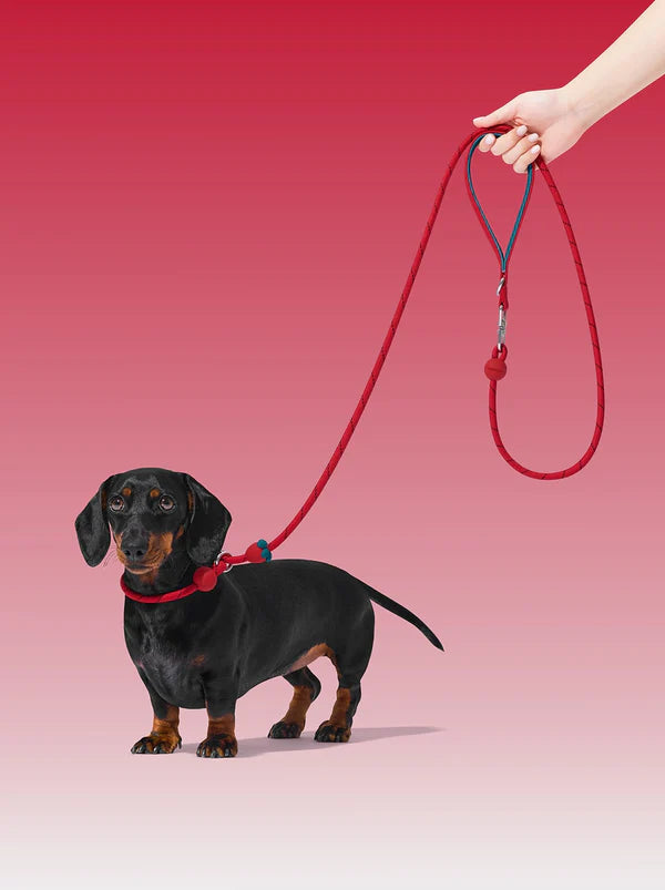 VETRESKA Connect Lite Hands-Free Rope Leash For Pets - Strawberry