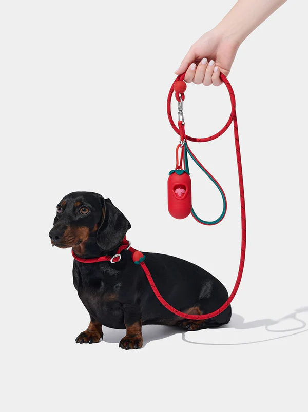 VETRESKA Connect Lite Hands-Free Rope Leash For Pets - Strawberry