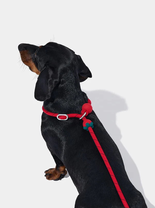 VETRESKA Connect Lite Hands-Free Rope Leash For Pets - Strawberry