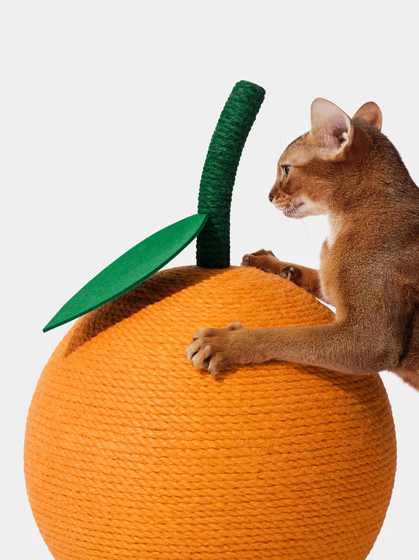 Vetreska - 小橘子貓抓磨球