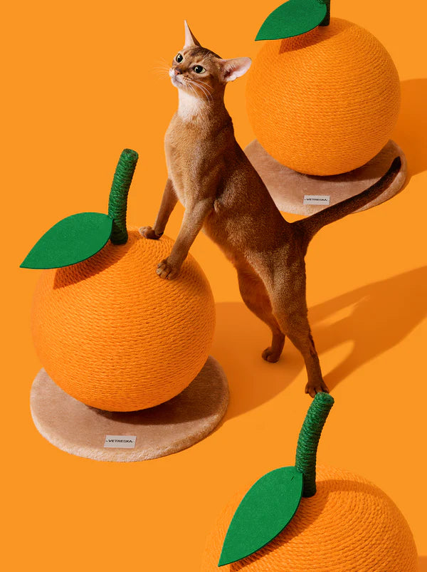 Vetreska - 小橘子貓抓磨球