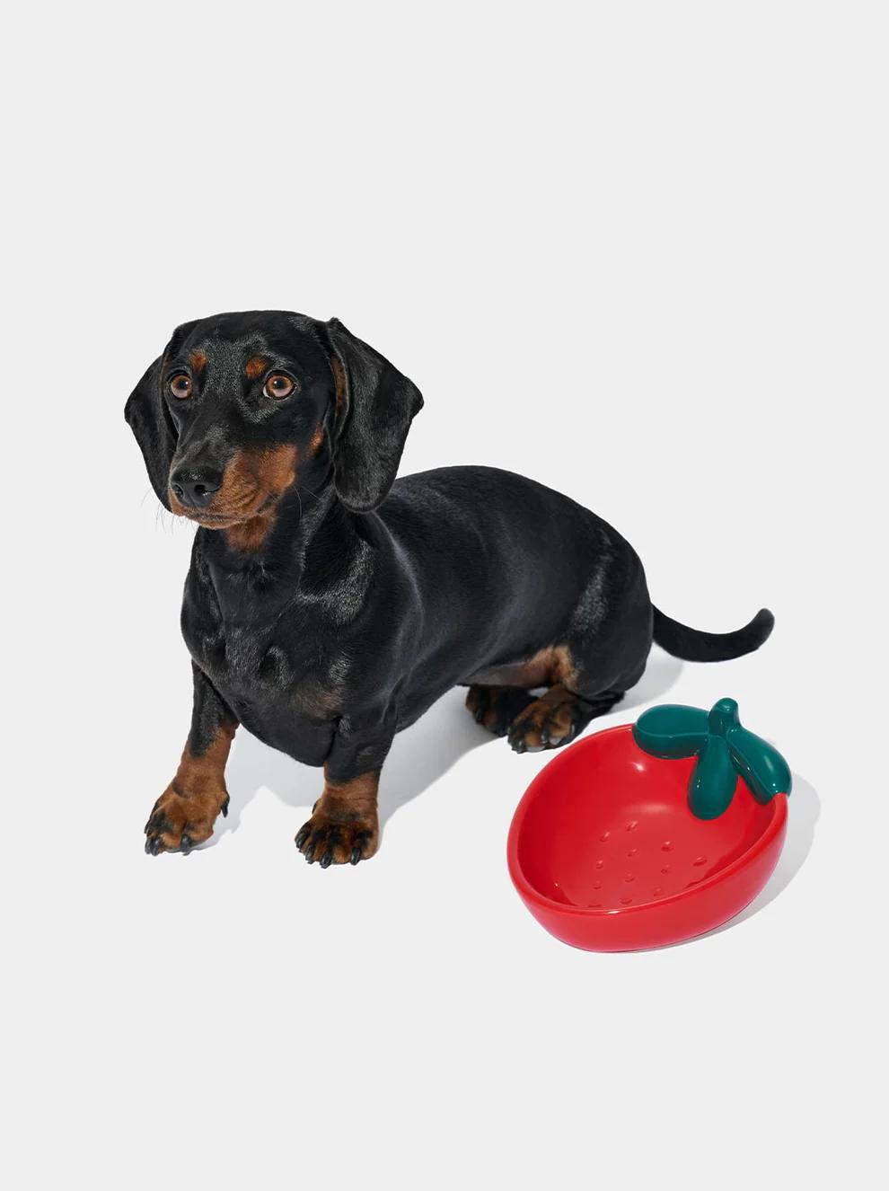 VETRESKA Strawberry Ceramic Pet Bowl