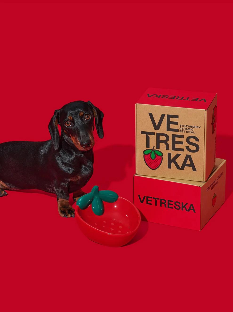 VETRESKA Strawberry Ceramic Pet Bowl