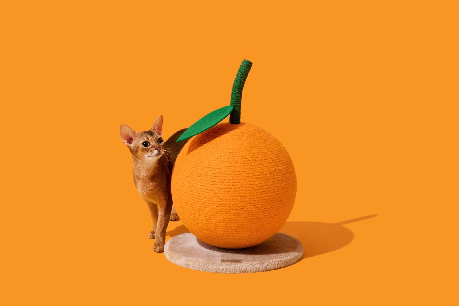 MEOW BOX 新年特別版 - VETRESKA 桔子貓抓球