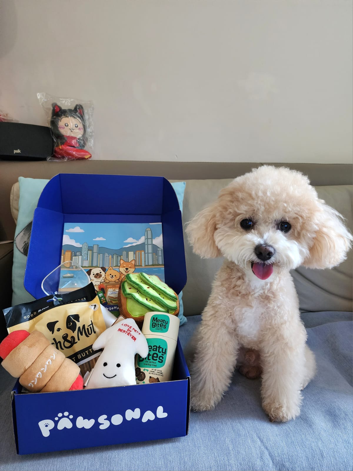 PAW BOX (Single Box)