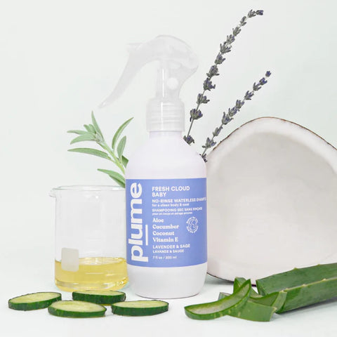 PAW BOX X PLUME Care 