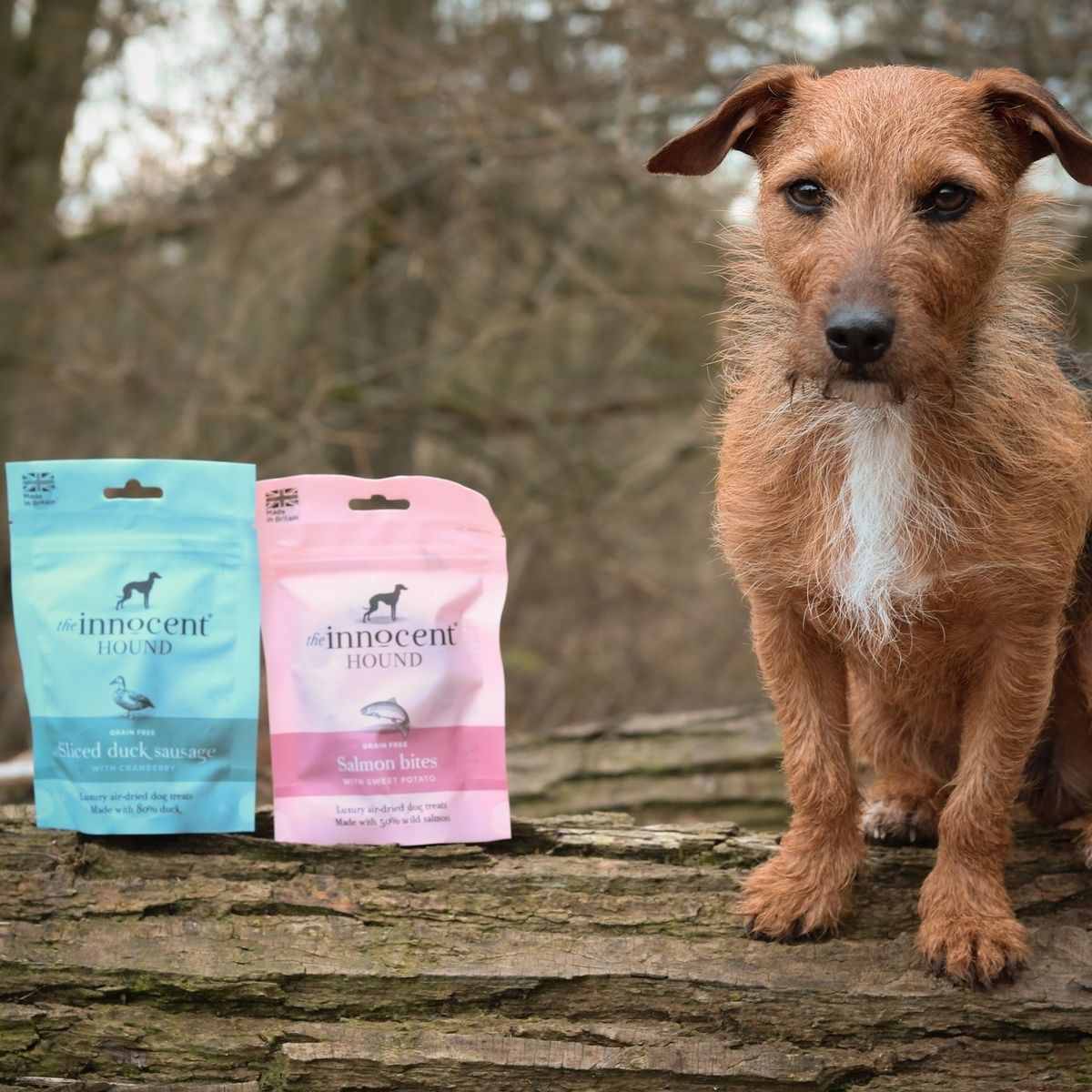 Salmon Bites with Sweet Potato 地瓜鮭魚小食 (10pcs)